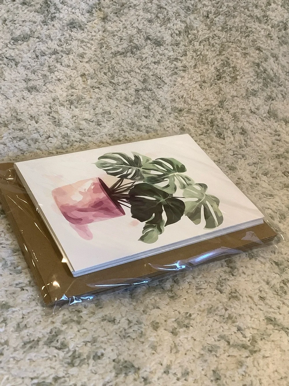Potted Tropical Plants Note Cards Variety Pack Set of 6 Blank inside NWT HC